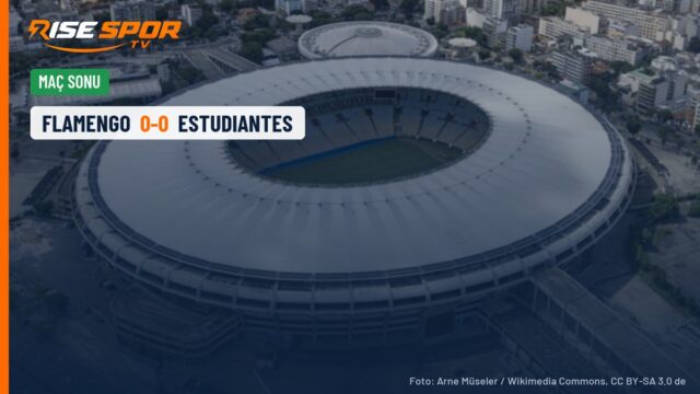 Muslera Maracanã’da üç penaltı kurtardı, Estudiantes Libertadores finalinde